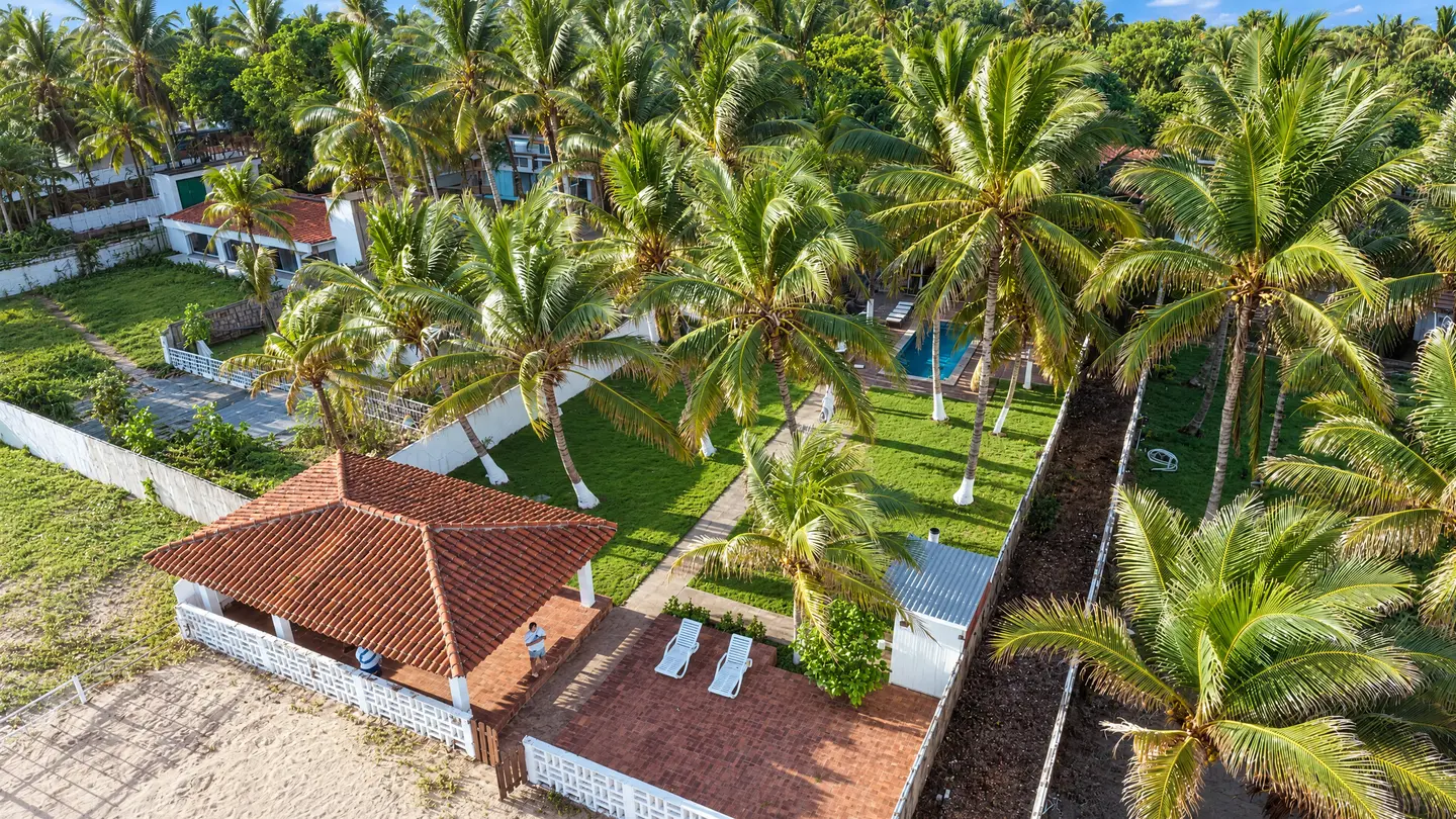 Vista aérea del rancho entre palmeras, junto a la playa